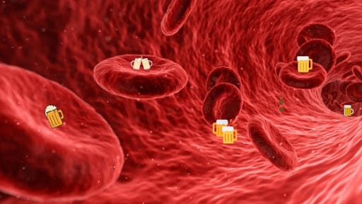 أسرع طريقة لتنظيف الدم من الكحول وعلاج اعراض انسحاب الكحول 1 تنظيف الدم من الكحول